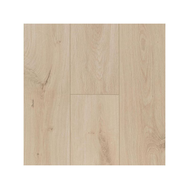Panele podłogowe Berry Alloc Ocean 12 V4 Gyant Light Sand AC5 12mm